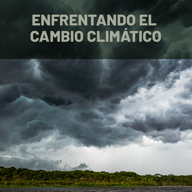 ENFRENTANDO EL CAMBIO CLIMÁTICO