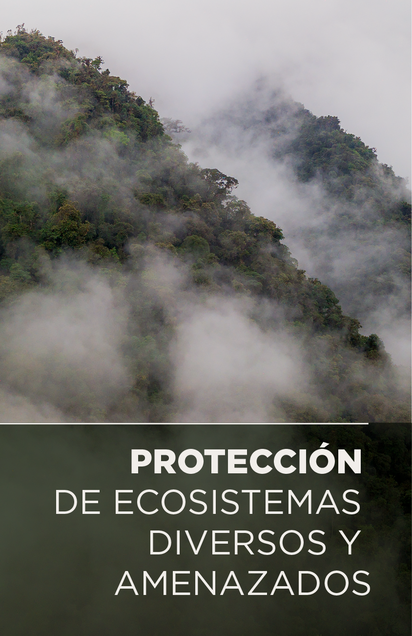 Protección de ecosistemas diversos y amenazados